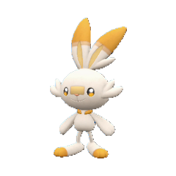 #813 Scorbunny
